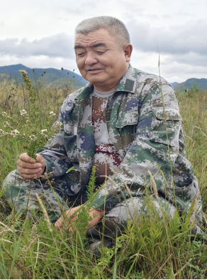 布和巴特尔